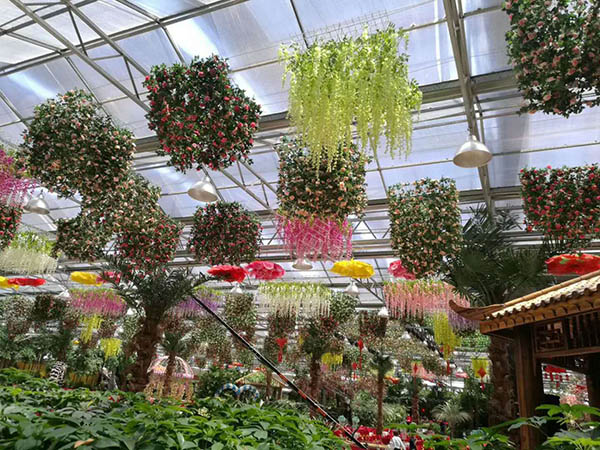 生态餐厅温室