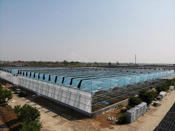 薄膜连栋温室